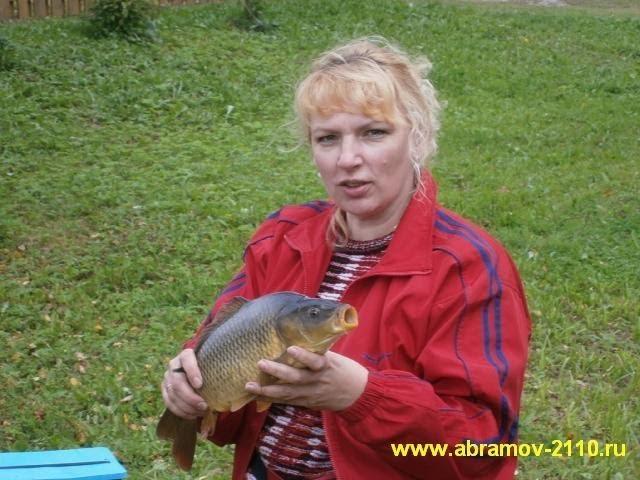 Разведение карпа в пруду на даче. Пруд для карпов.