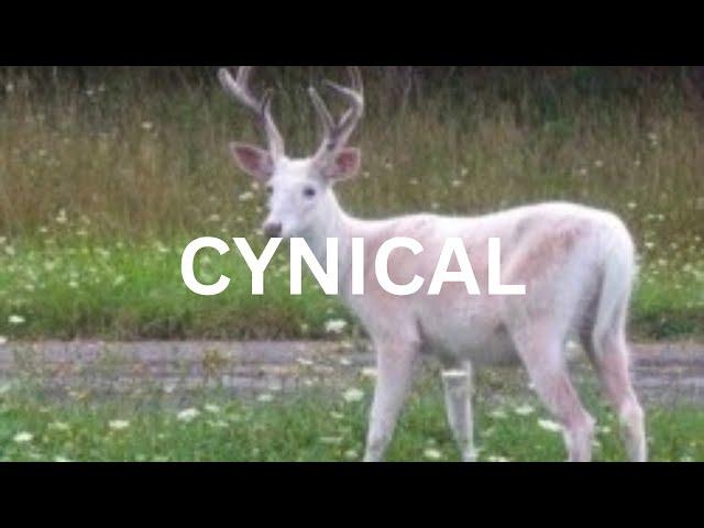 [FREE] Cynical ~ Lil Bo Weep Type Beat