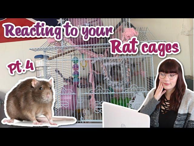 Reacting to my subscribers Rat cages pt. 4