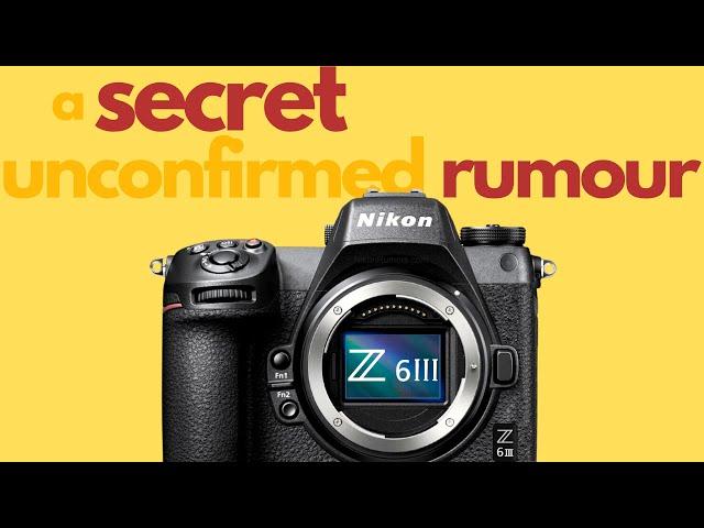 Nikon Z6III: Megapixels and Launch window (not announcement; launch).