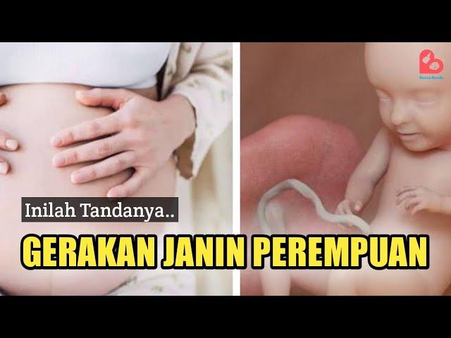 TANDA GERAKAN JANIN PEREMPUAN - APA PERBEDAANNYA?