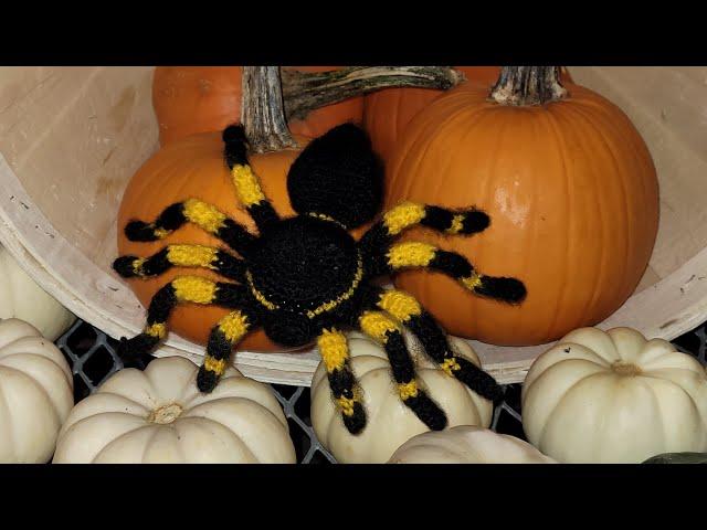 Crochet spider                     Video #3