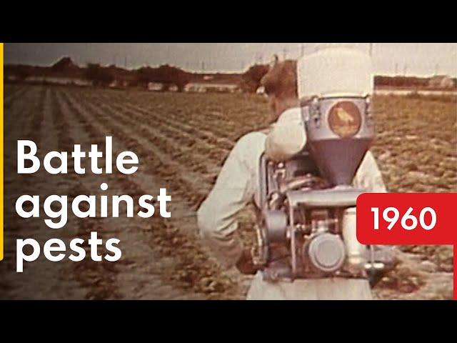 The Living Soil | Shell Historical Film Archive