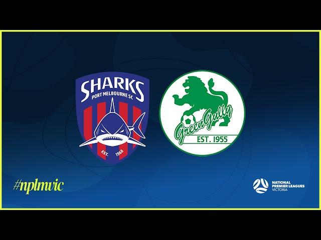 2024 NPLMVIC Round 23: Port Melbourne Sharks SC v Green Gully SC