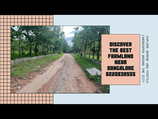 best farmland in bangalore - best farmland near bangalore bhoomi farms