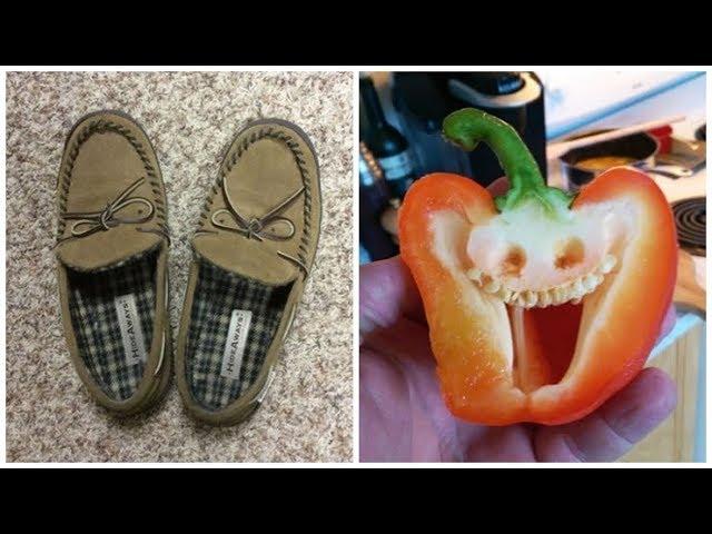 10 + Everyday Examples of Pareidolia That Are Funny To Look At