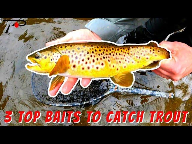 3 Top Baits To Catch Trout