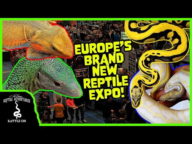 NEW REPTILE EXPO IN EUROPE! (Nijmegen Rexpo, Netherlands)