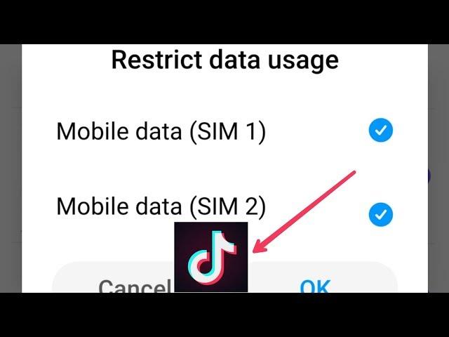 Tiktok Restrict Data Usage Problem Solve || Internet Data Problem