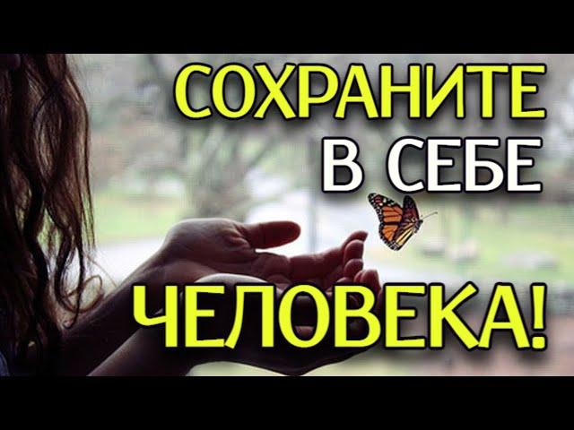 СИЛЬНЫЙ СТИХ! "Сохраните в себе Человека" - Анна Холод (автор Владимир Ток)