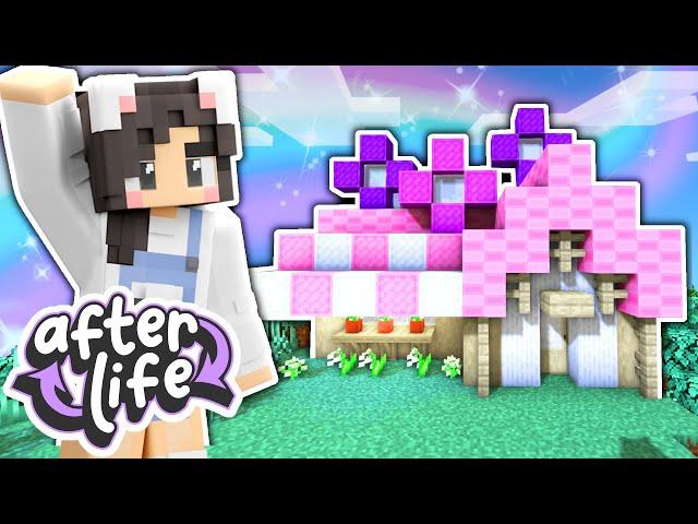 Building A Shop! Minecraft Afterlife SMP Ep.2