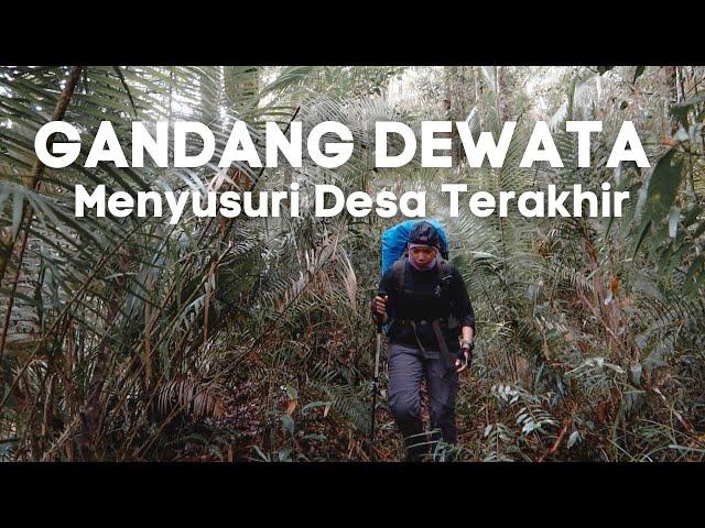 Gunung Gandang Dewata #1 | Trek Panjang di Belantara Sulawesi