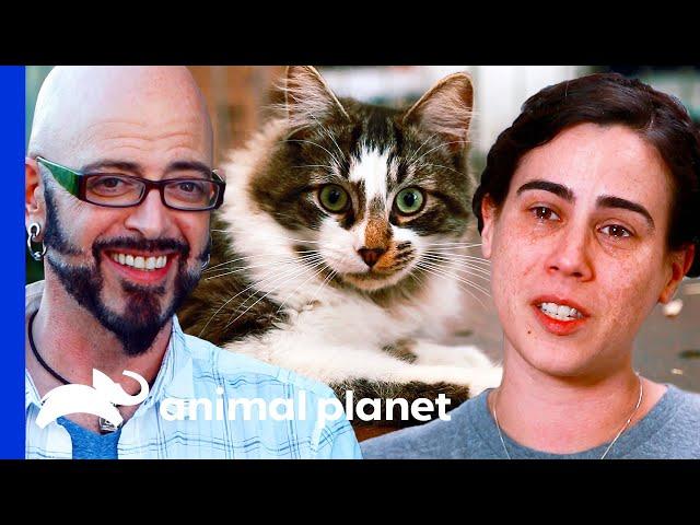 Shelter Cat With Troubled Past Finally Gets Adopted | My Cat From Hell