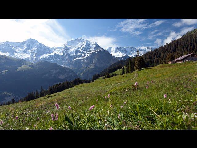 Switzerland's Jungfrau Region: Best of the Alps