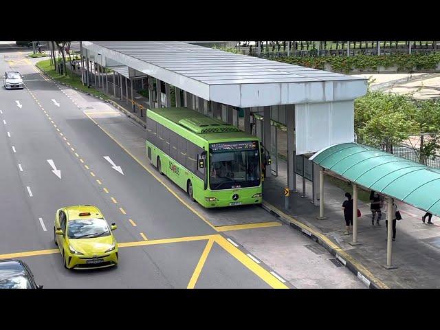 SMRT Buses Mercedes-Benz OC500LE (Batch 1) SMB67T on Service 975 departing Bus Stop 44259