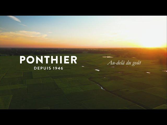 Ponthier, Au-delà du goût