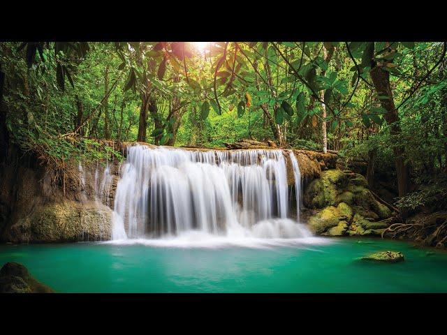 Zen Meditation Music, Music for Healing Therapy, Positive Energy Healing Music