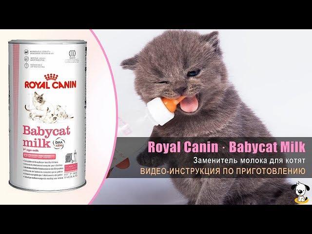 Заменитель молока для котят · Royal Canin Babycat Milk · Инструкция по приготовлению