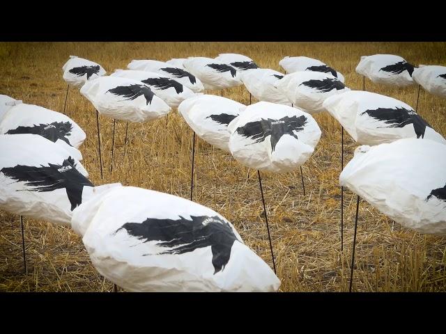 The CHEAPEST Snow Goose Windsock Decoys | Quality Design, Best Price!