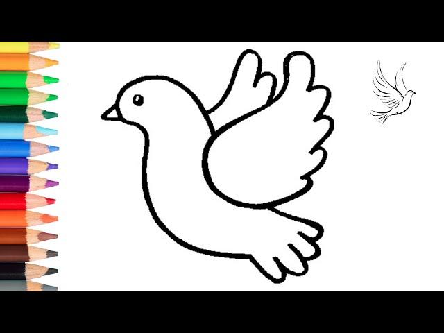 How to draw a Dove | Easy Drawings | Drawings for Kids