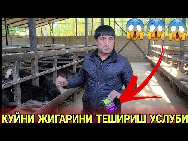 КУЙНИ ЖИГАР КАСАЛЛИГИНИ АНИГЛАШ УСЛУБИ