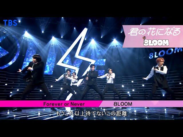 8LOOM ｢Forever or Never｣ CDTV ライブ！ライブ！ Performance Ver.【TBS】