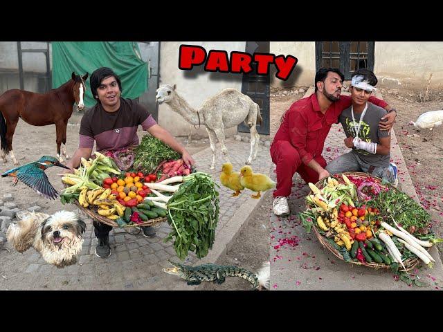 Sab Animals Ko Party Di  Subhan is Back 