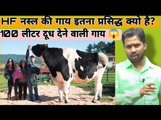 HF नस्ल की गाय इतना प्रसिद्ध क्यो है? | 100 लीटर दूध देने वाली गाय कौन सी है?#khansir #khansirpatna