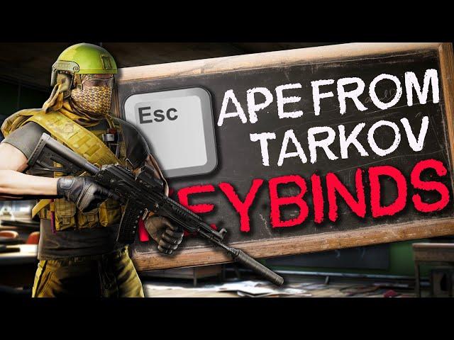 The Absolute BEST Tarkov Keybinds!