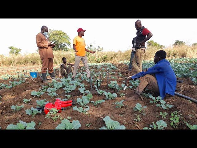 Water management solutions for small scale irrigation scheme in Ghana | IWMI