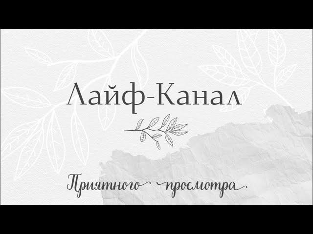 Закрытие бьюти контента, переезд, учёба, бизнес на WB...