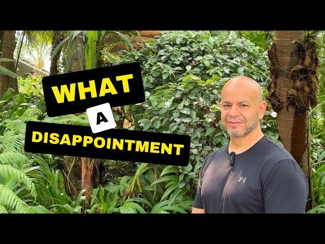 My Disappointment in Thailand | Chiang Mai Living