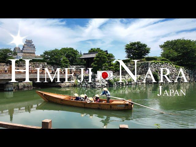 "Himeji Castle and the Mystical Deer of Nara  – My Japanese Adventure"