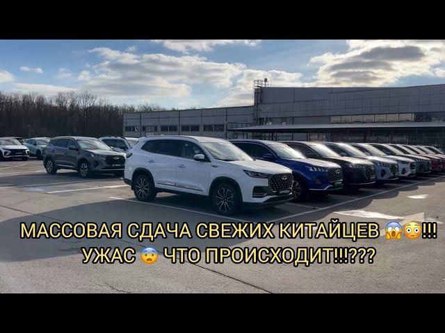 МАССОВО СДАЮТ СВЕЖИХ КИТАЙЦЕВ!!! СТОЯНКИ БИТКОМ!ЧТО ТАКОЕ ПРОИСХОДИТ!? СРОЧНО СВЕЖАК!