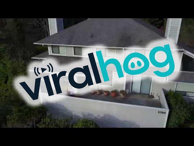 Drone Take Down Attempt || ViralHog