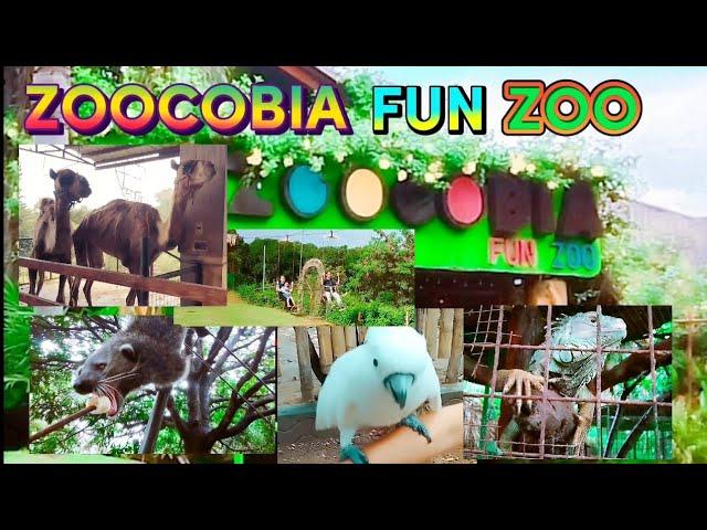 ZOOCOBIA FUN ZOO/ADVENTURE CLARK PAMPANGA/#TheHappiestFunZooInPampanga/#2022/#H3Channel