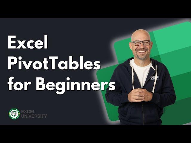 Excel PivotTables for Beginners (2024)