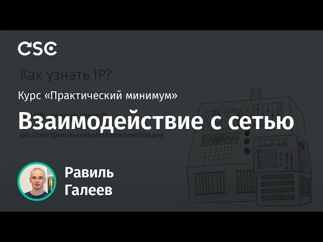 Лекция 6. Взаимодействие с сетью