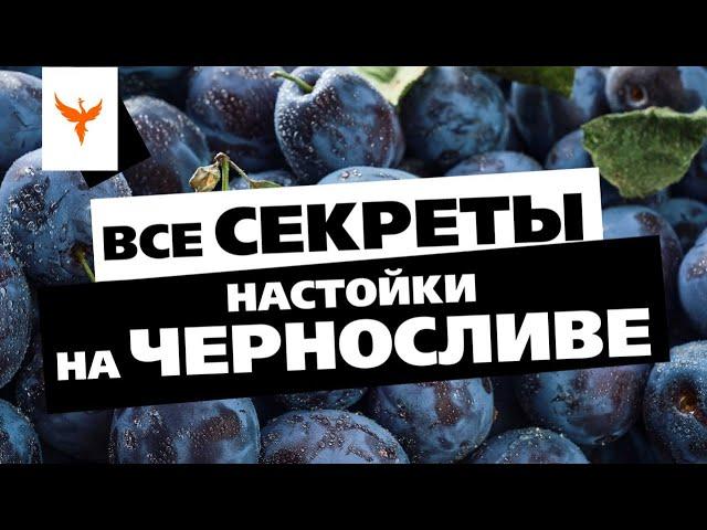 рДЖ 73: Все секреты настойки на черносливе. Какой, сколько и как? Лучше с косточкой или без?