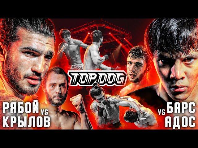 TDFC7: Bars - Ados, Krylow - Ryaboy | welterweight