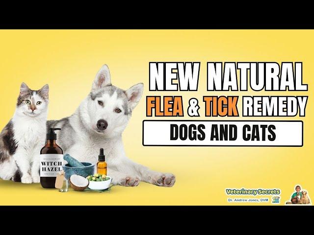 Awesome New Natural Flea and Tick Remedy for Dogs and Cats