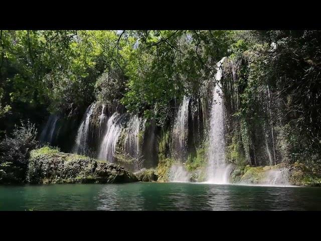 Waterfall Sound •Jungle Waterfall Sound • Relaxing Music with Nature Sounds • Calming  Waterfall HD