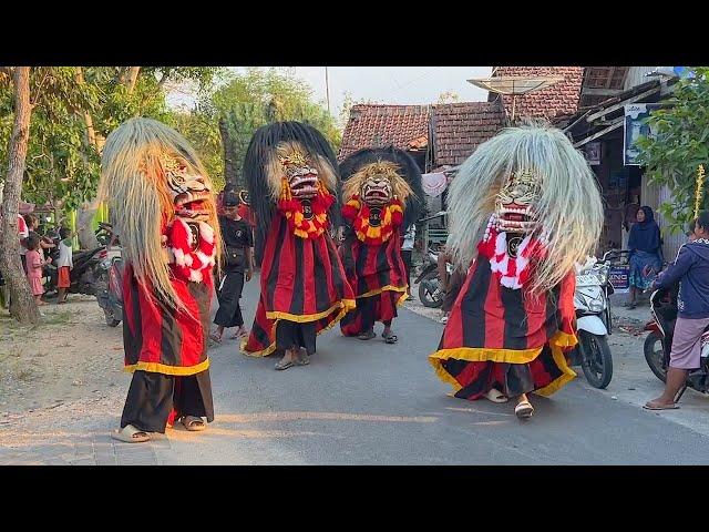 Seruu !! Arak Arakan Barongan Blora Reog Ponorogo Seni Barong Sekar Gading Seto Live Klopotelu