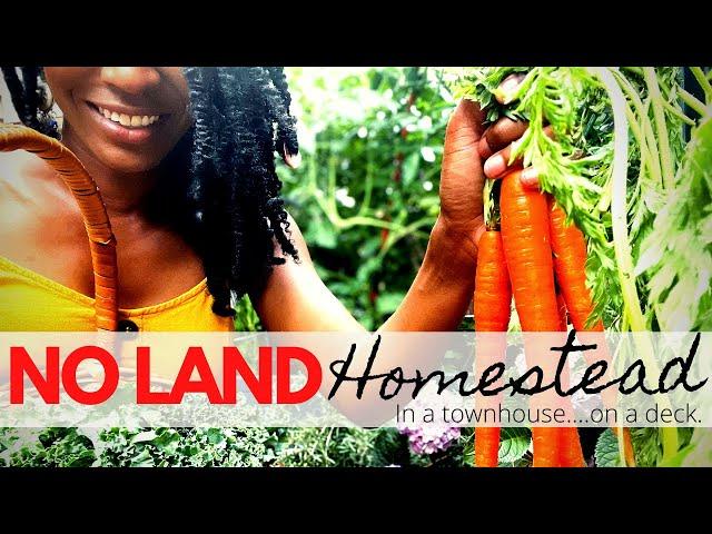 How to START an Urban Homestead WITHOUT Land| In a Small Space, City, Rental w/ little MONEY | Ep. 4