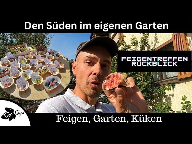 Hol dir den Süden in den eigenen Garten | Rückblick Feigentreffen | Gartenrundgang September