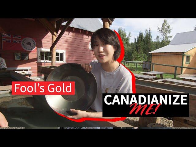 Canadianize Me -  Fool's Gold