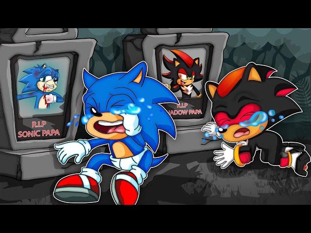 Daddy, Please Come Back To Me!! - Baby Sonic, Baby Shadow's Sad Story | Crew Paz