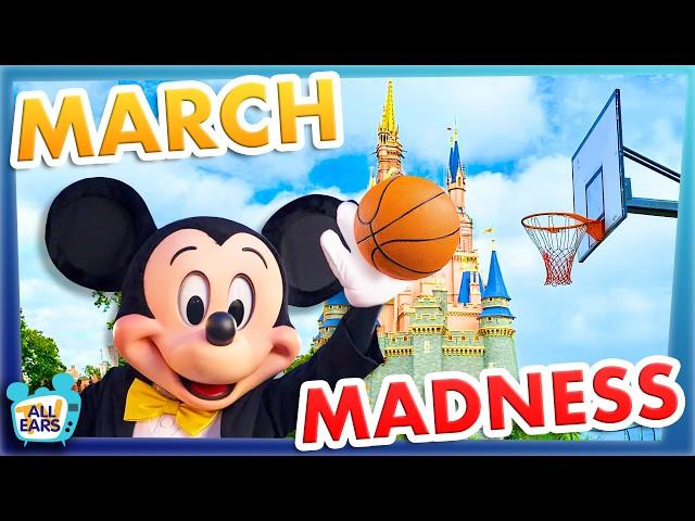 Disney World Bracket -- The BEST Ride, Restaurant, Hotel and More