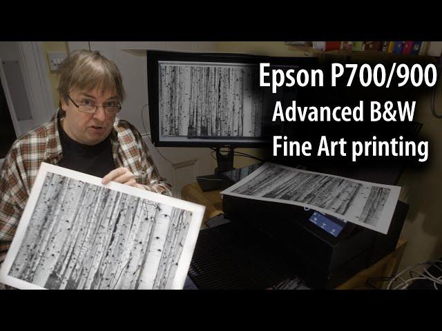 Epson P700 (& P900) advanced black and white fine art printing using ABW & free Epson EPL software