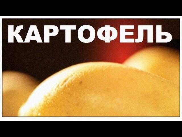 Галилео. Картофель